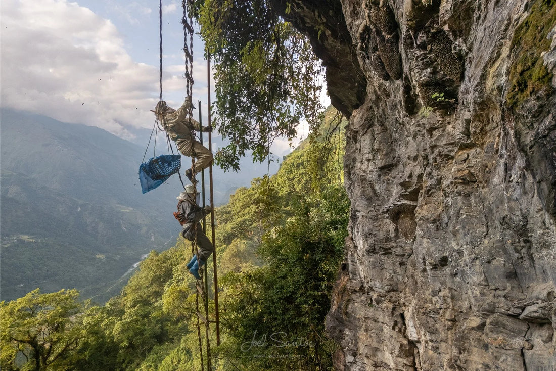 A taste of Himalayan heritage