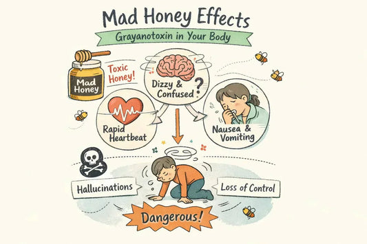 Mad honey effects: What grayanotoxin does to your body? - Magaranger