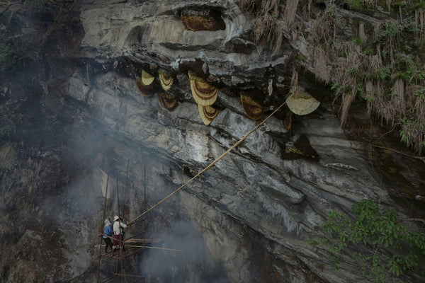 real mad honey nepal
nepal mad honey harvesting
mad honey from nepal cliffs
