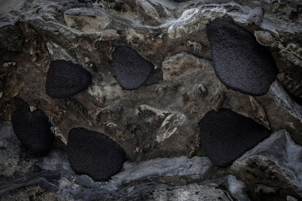 real mad honey nepal
nepal mad honey harvesting
mad honey from nepal cliffs
