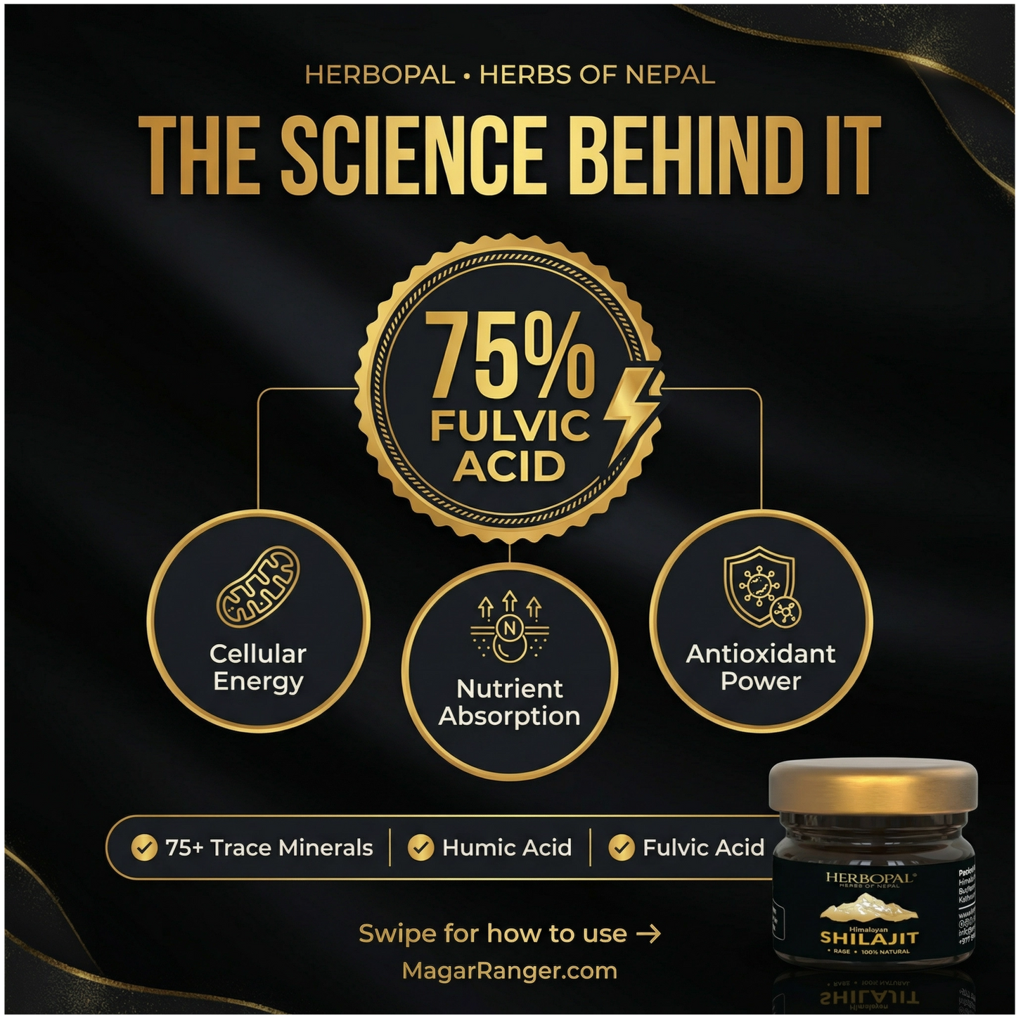 Himalayan Shilajit Resin | Pure Fulvic Acid Mineral Extract (25g)